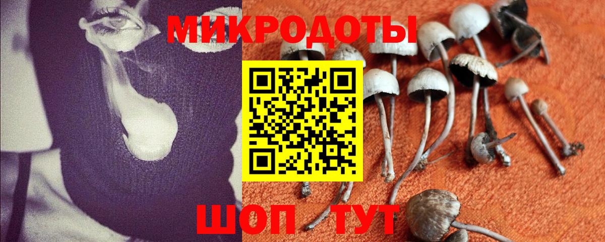 Люберцы  Галлюциногенные грибы мухоморы  Вход с VPN 