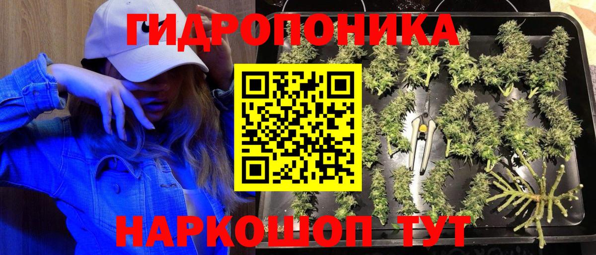 Бошки Шишки Amnesia Люберцы